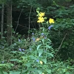 Meet your Posher, Jenny